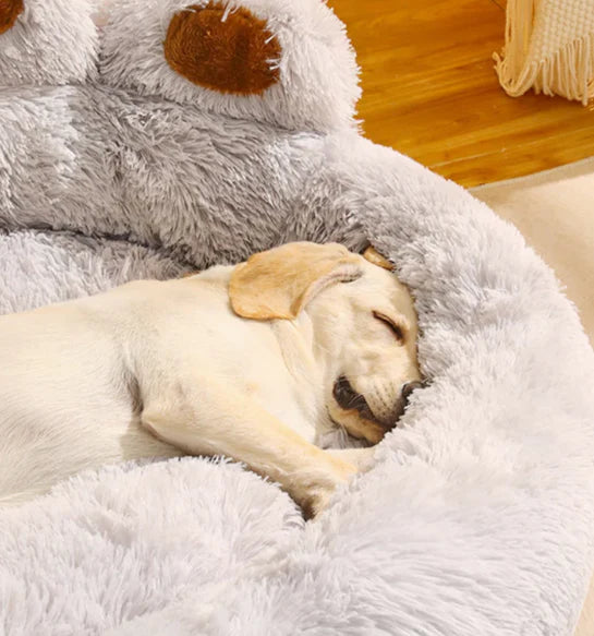 Fluffy Paw Dog Bed