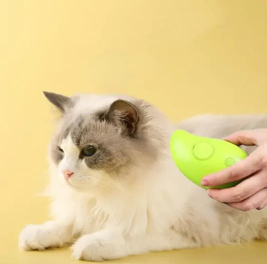 Pet Brush