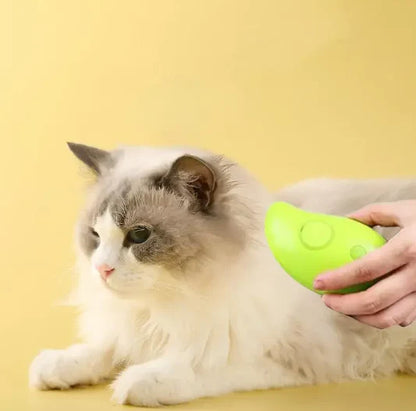 Pet Brush