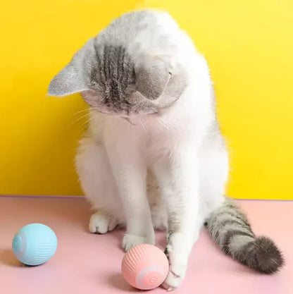 Electric Cat Ball Toys Automatic Rolling